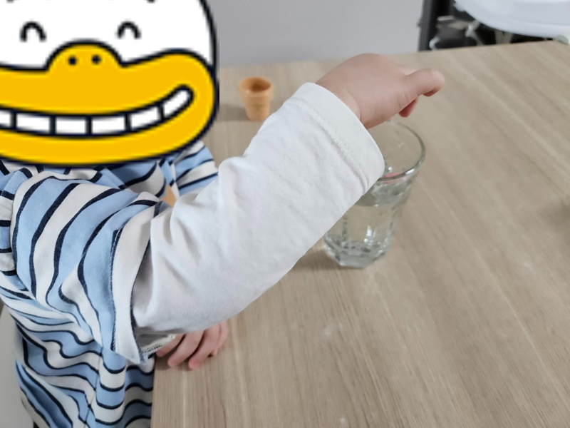 옥토넛 스펀지캡슐