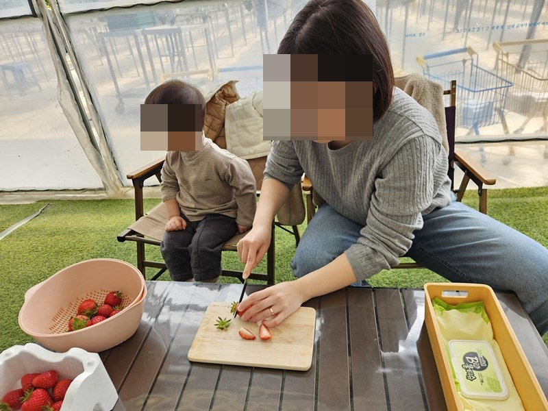 수확한 딸기를 먹는 엄마와 아이
